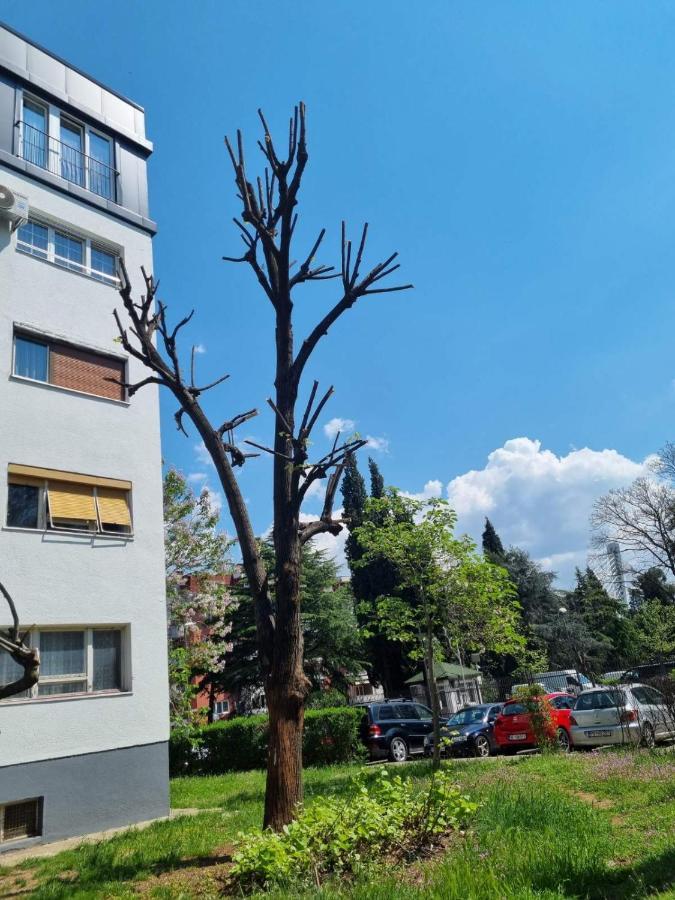 Appartement Atelje à Podgorica Extérieur photo